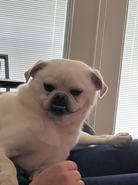 King Boo