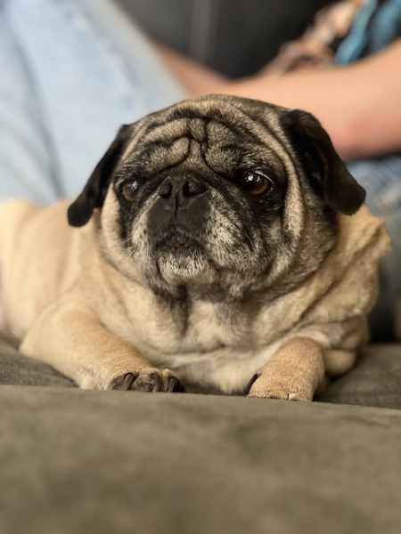 Darla