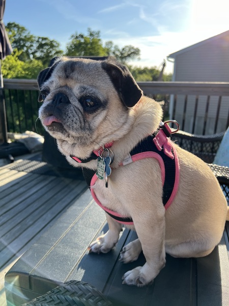 Minnie