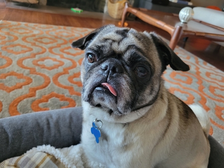 Pablo