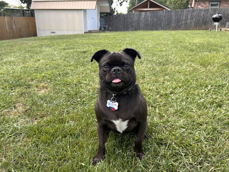 Tater
