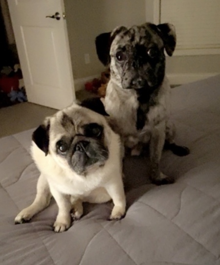 Murray Bean with Georgia 