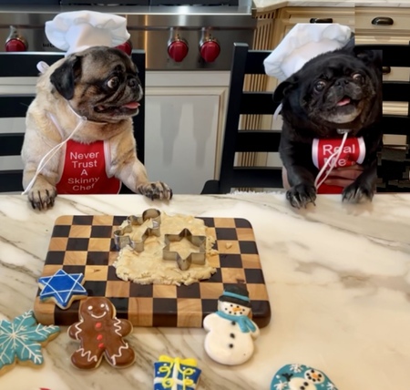 Bongo & Tonka