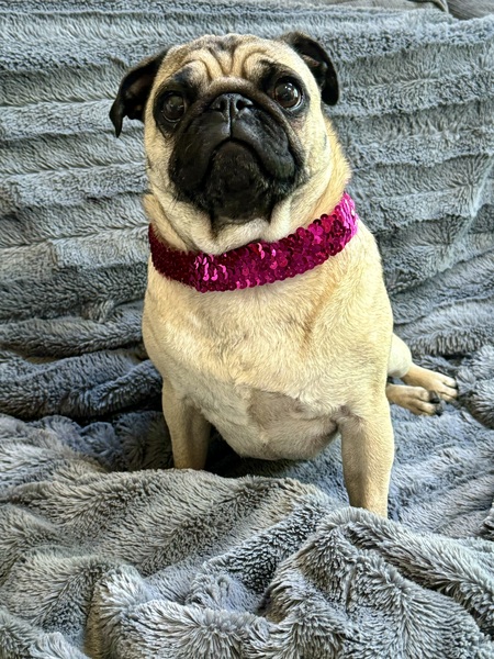 Mia