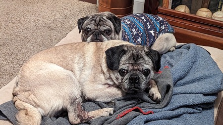 Bowser & Cali