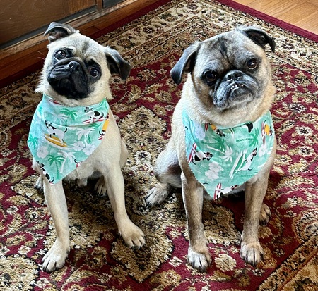 Wesley and Moe