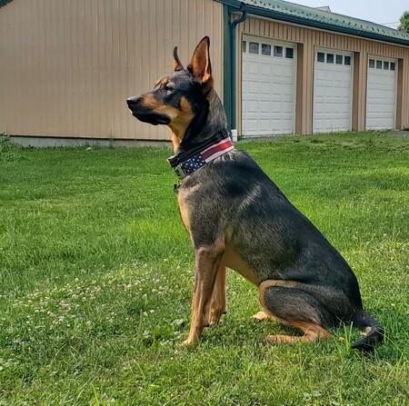 Max