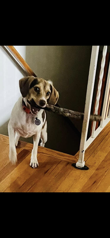 Penny