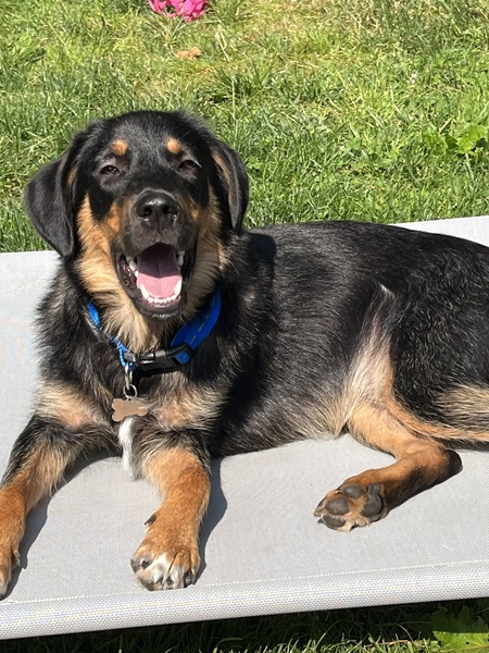 Fergus