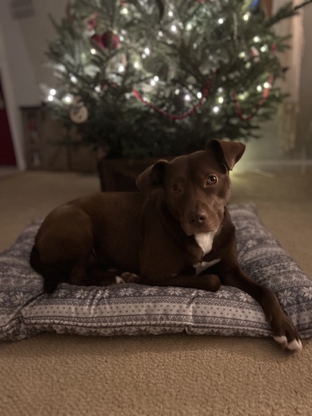 Ginny