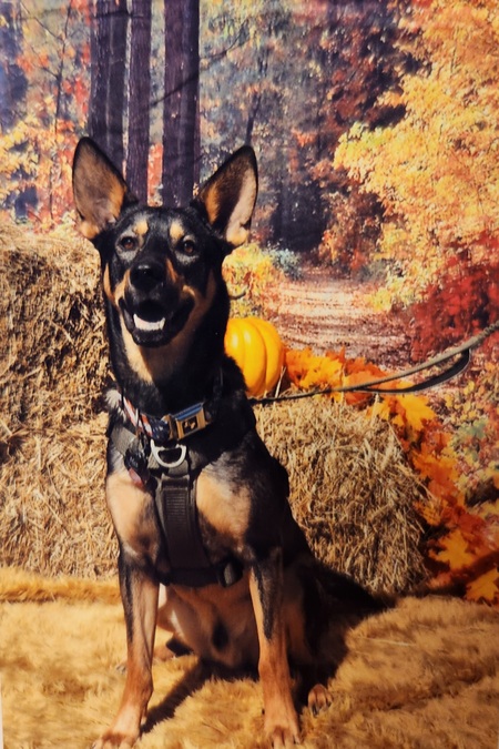 Max