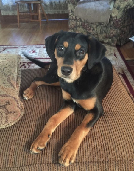 Ellie Mae