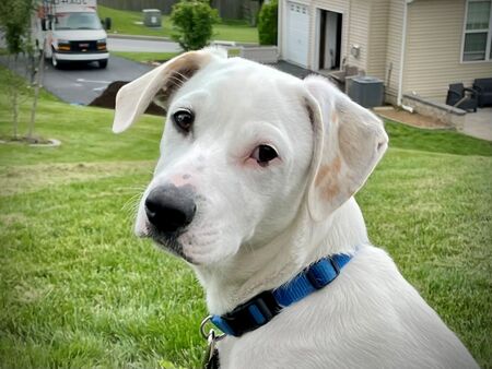 Casper