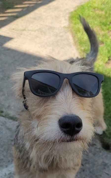 Diego