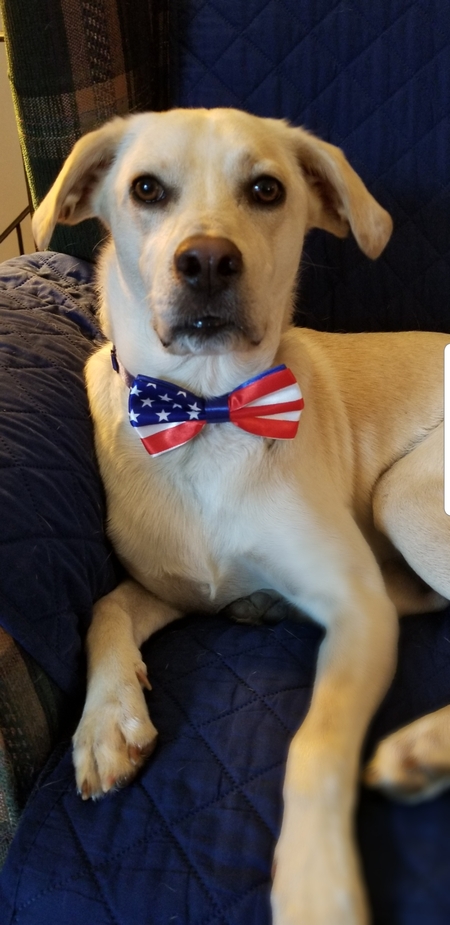 Archie