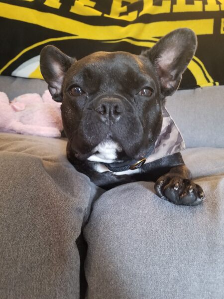 Gus