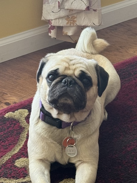 Marley