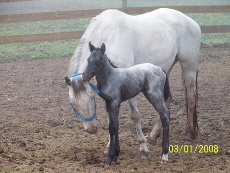 Opal and her newborn Margo