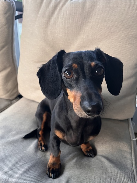 Gracie Mae