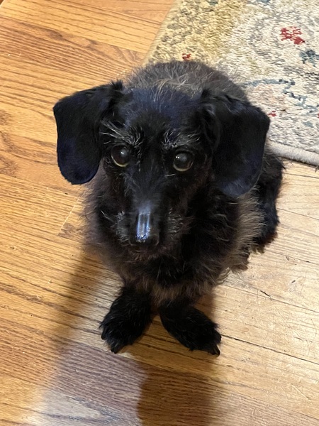 Rosie