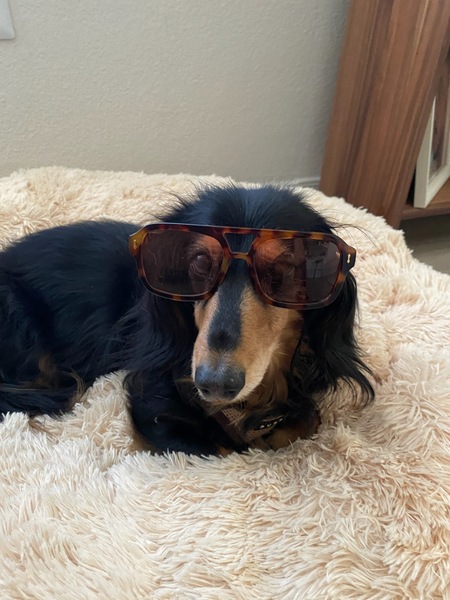 Baxter