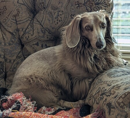 Tucker