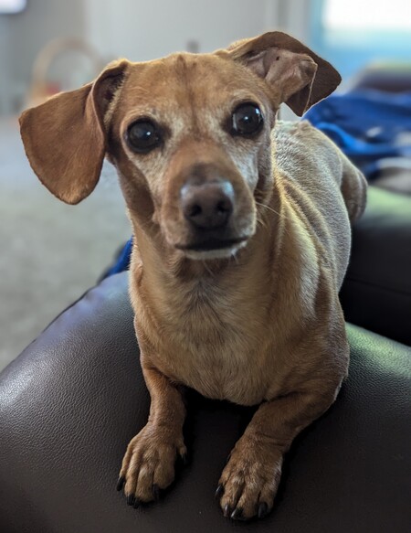 Cooper