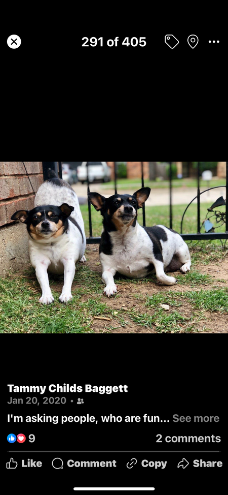 Snickers (right), Cookie (left)