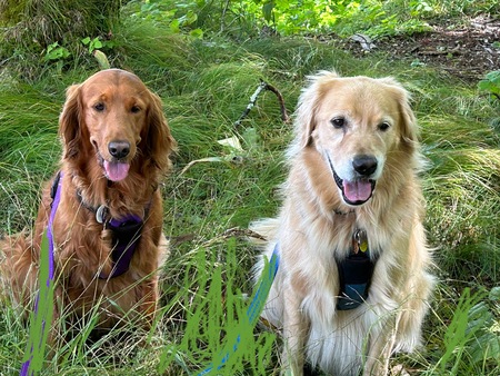 Arya & Tucker
