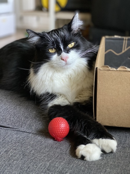 Dot