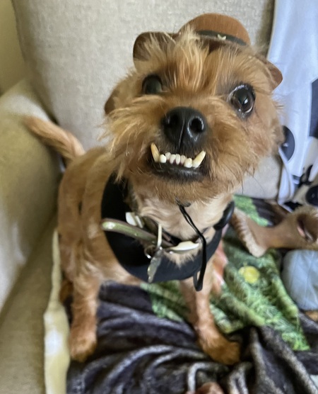 Murphy
