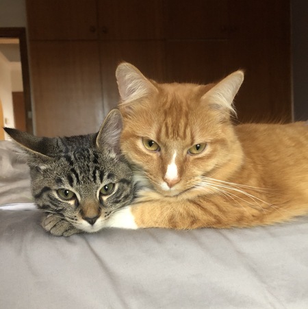 Arthur and Kevin