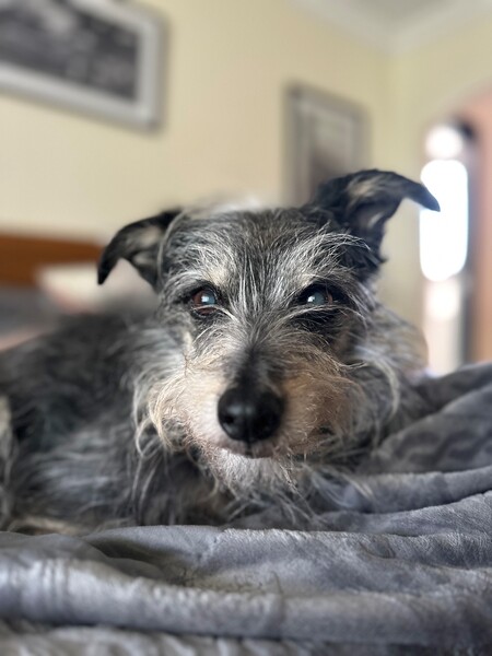 Murphy