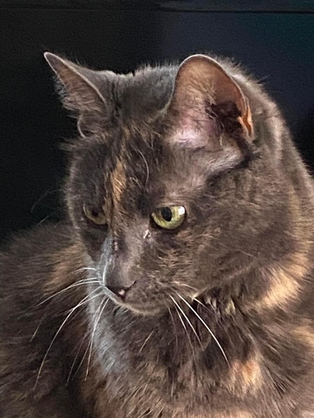 Libby