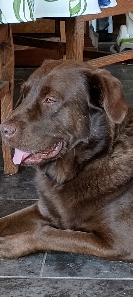 Max