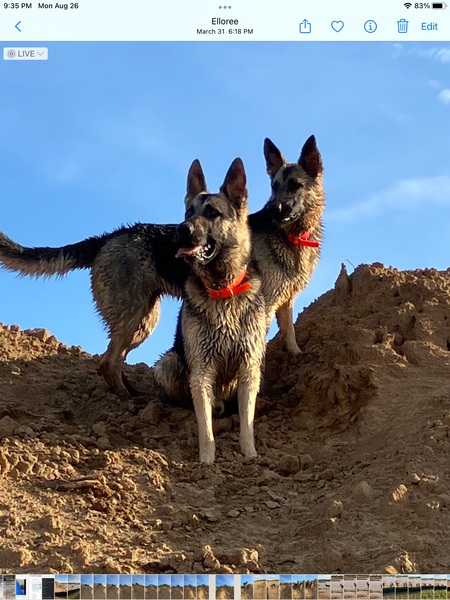 Bonnie Blue and Behr