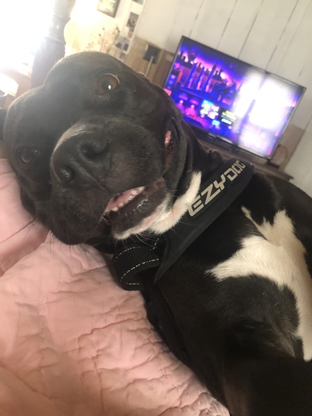 Vee