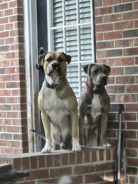 Zeus & Xena