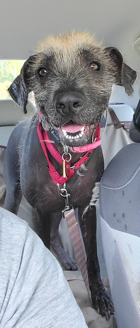 Josie