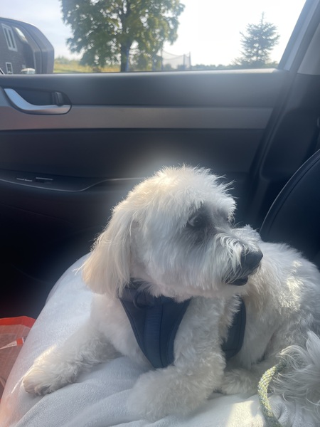 Ralph