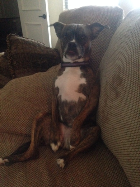 Lexi
