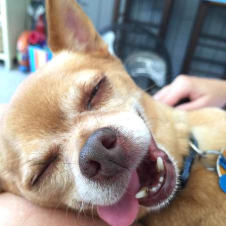 Nugget AKA Mr Rodriguez