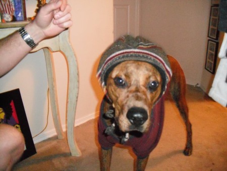Tiggy