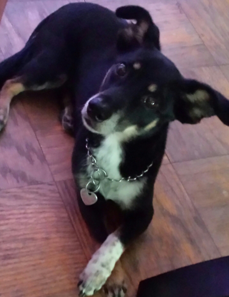 Jax