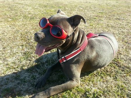 Max (aka Wednesday)