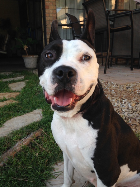 Bella (formerly Sally, aka Sallybelle)