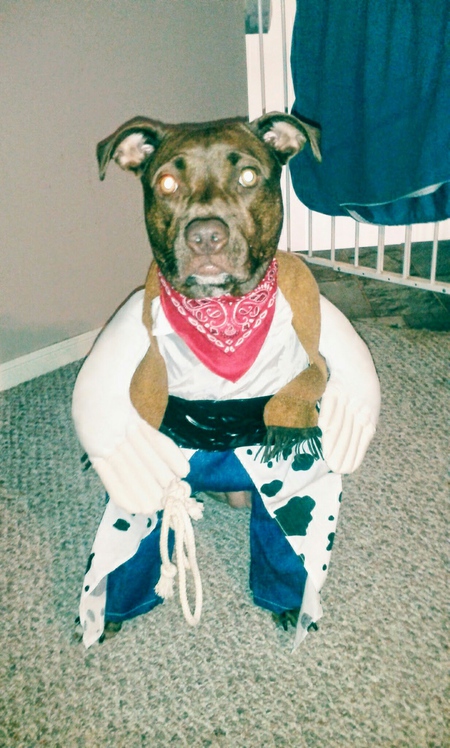 Bonnie