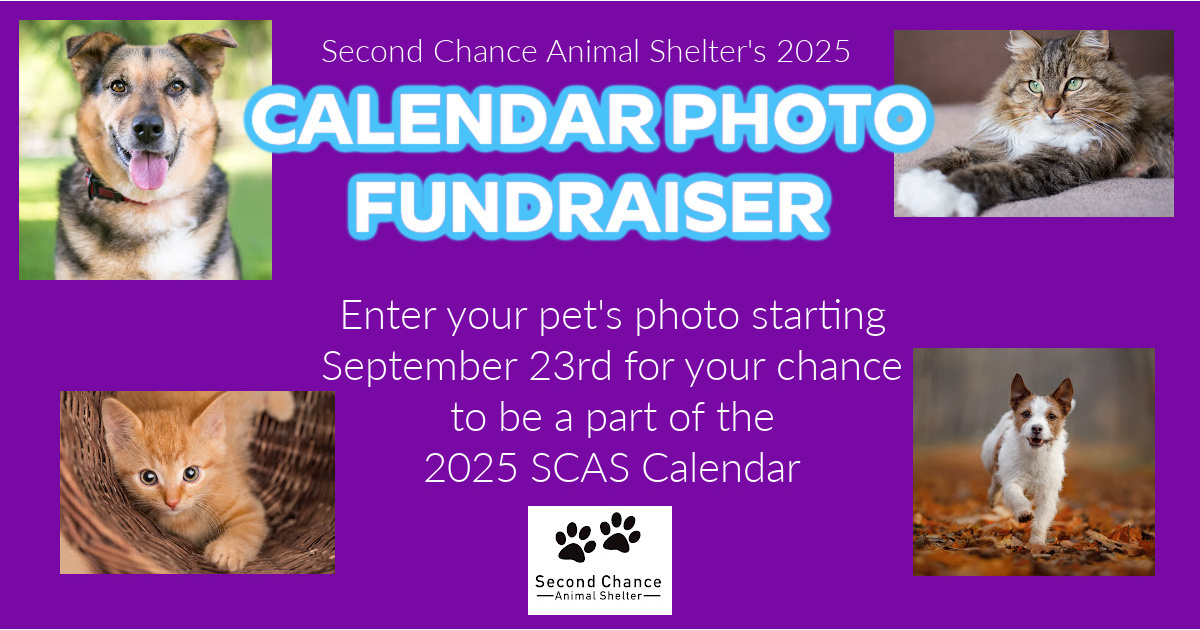 Second Chance Animal Shelter SCAS 2025 Calendar Photo Fundraiser second-chance-animal-shelter-scas-2025-calendar-photo-fundraiser