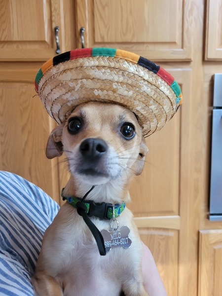 Milo 