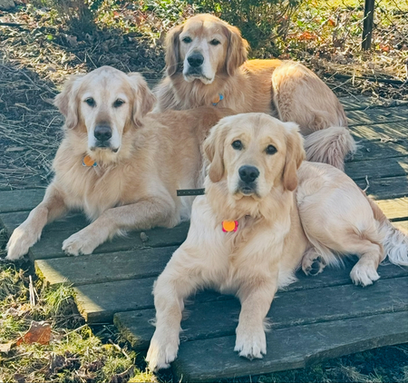 Odin, Oslo, Asta